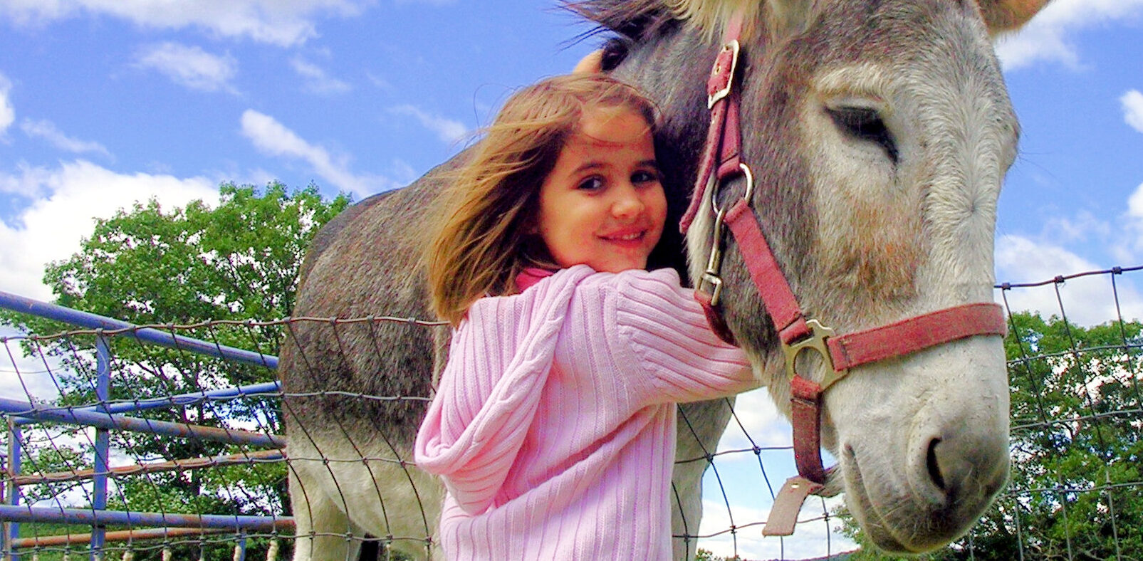 Interview: The Inn at East Hill Farm - Year-round Farm Fun Plus A New Farm School Program Just for Kids