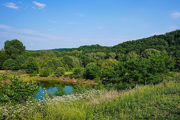 Nicura Ranch KY | Farm Stay USA