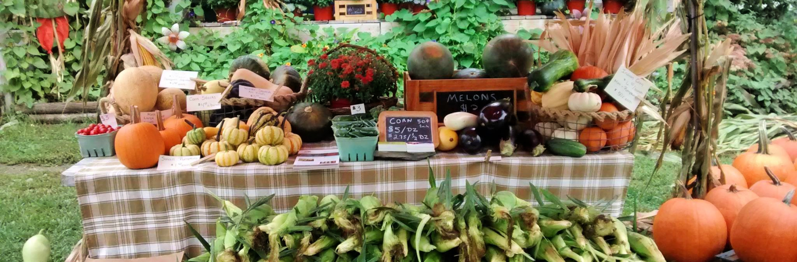 A Living and a Lifestyle. Part 1: Farmer's Markets