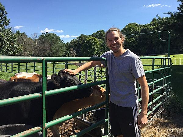 Stars Hollow Inn and Hobby Farm