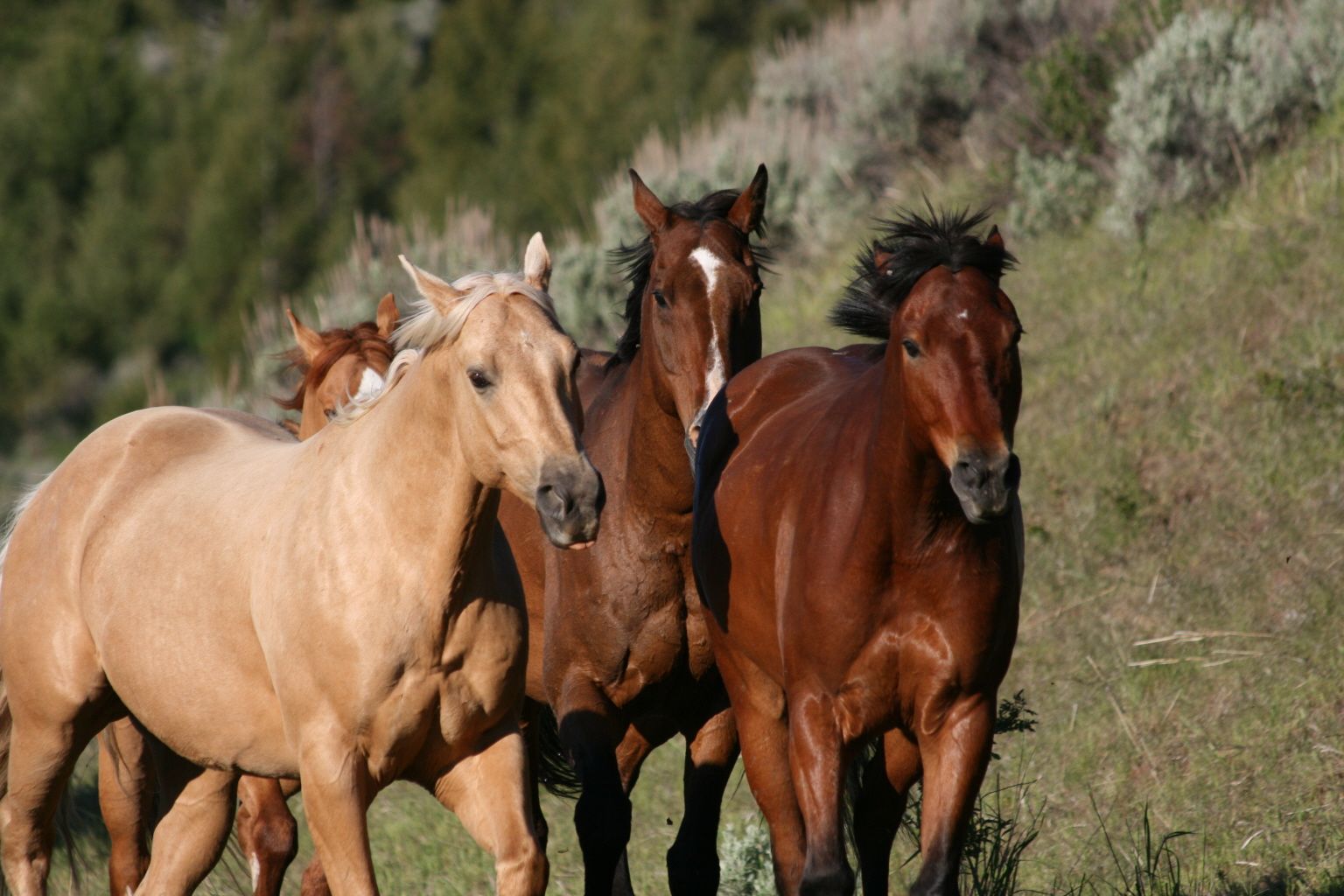 15 Years of Farm Stay USA: Celebrating Our Roots and Honoring the Founders Who Helped Cultivate a Movement (2)
