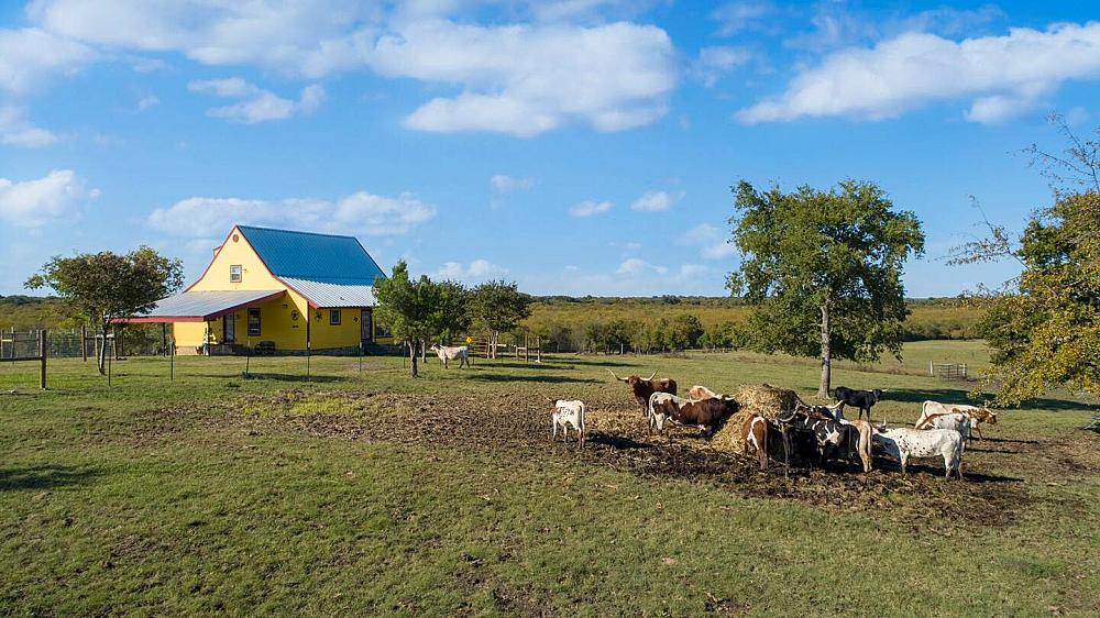 Featured Image-goats grazing in a pasture with the yellow farmhouse in the distance.