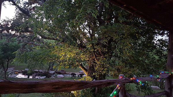 christmas lights on wood fencing