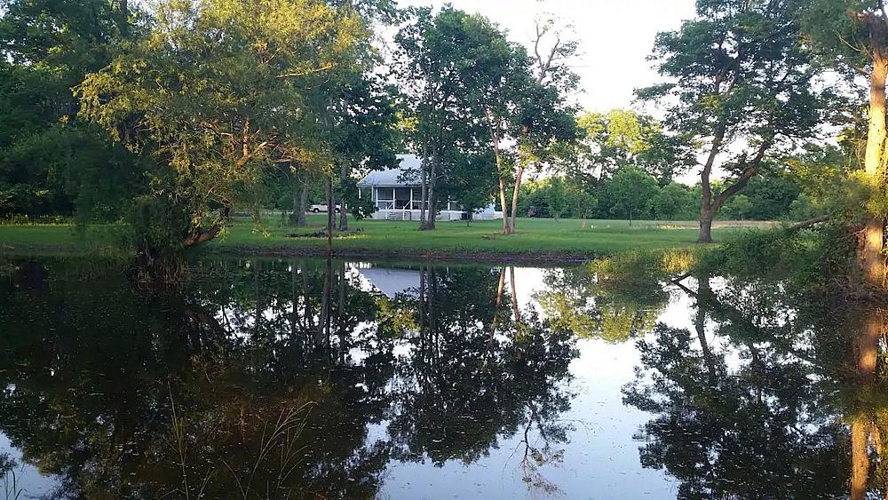 Featured Image- The Linden house in a setting near a pond and in a pecan orchard. 