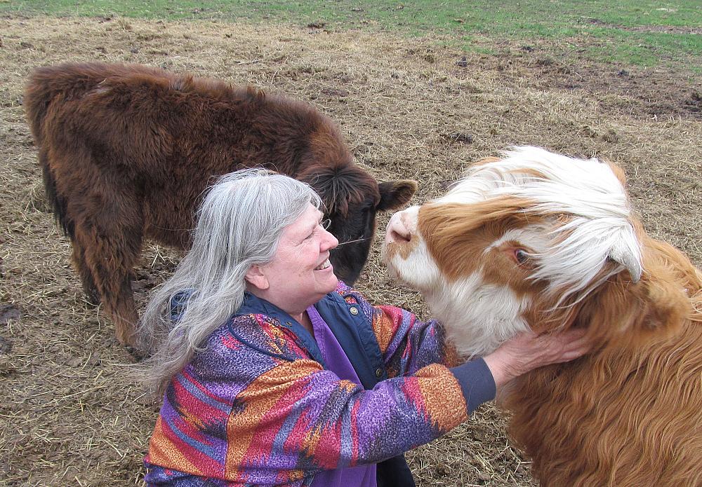 Featured Image - cow cuddling with brown and white Scottish Highland cow