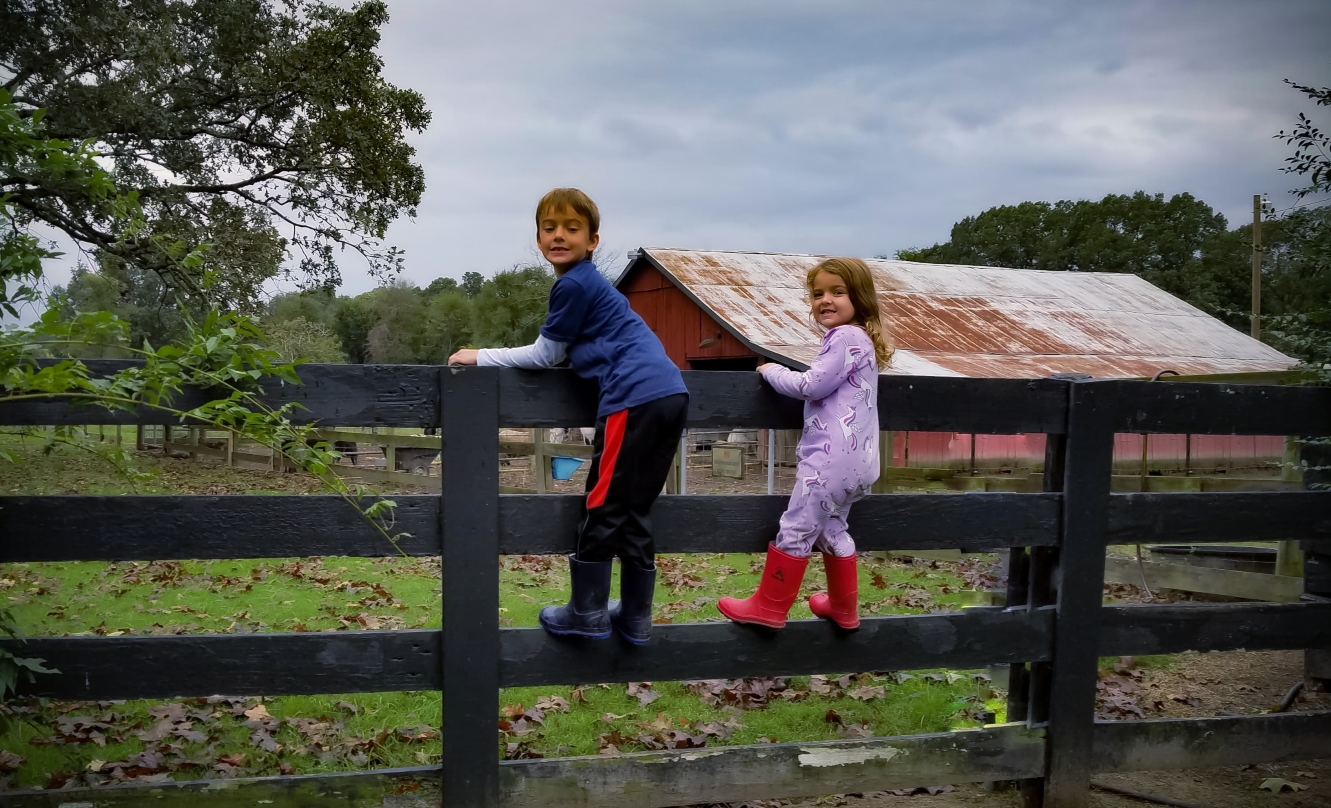 Stillwaters Farm, Henderson, Tennessee | Farm Stay USA