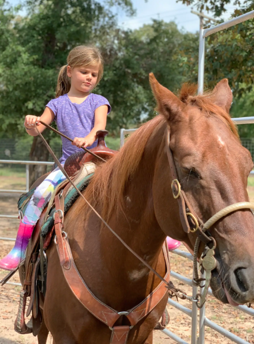 little girl on horse