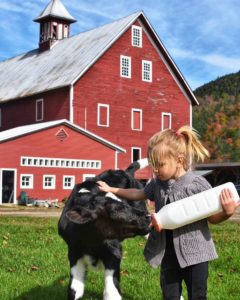 Liberty Hill Farm Inn, Rochester, VT | Farm Stay USA