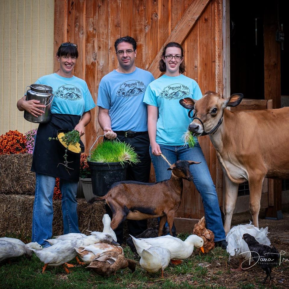 Dogwood Hills Guest Farm, Harriet, AR | Farm Stay USA