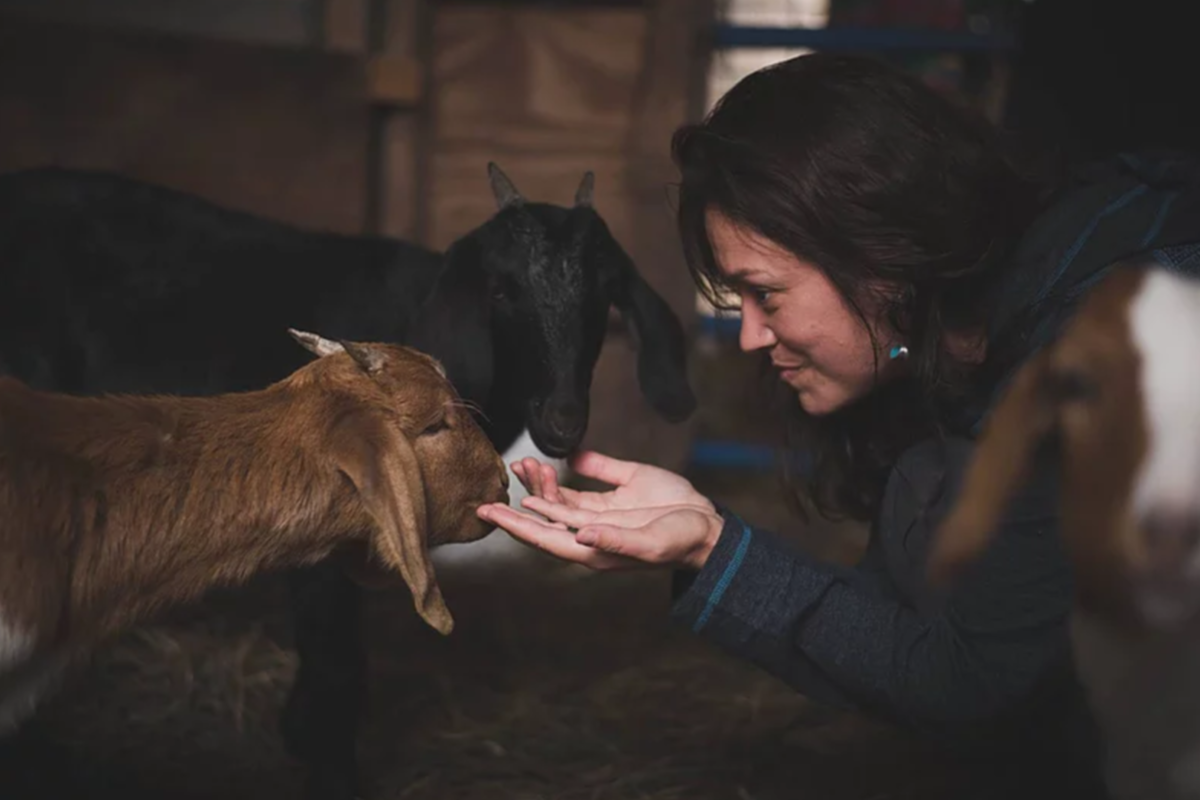 Berry Fields Farm, New Albany, Pennsylvania | Farm Stay USA