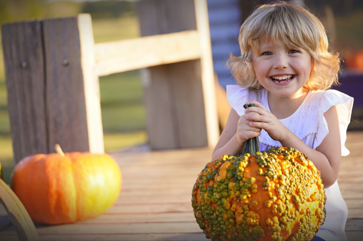 Stillwaters Farm, Henderson, Tennessee | Farm Stay USA