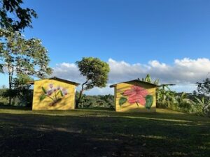 two painted huts with trees behind