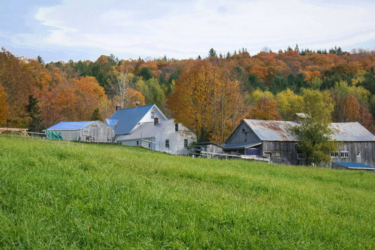 Grand View Farm, Washington, Vermont | Farm Stay USA