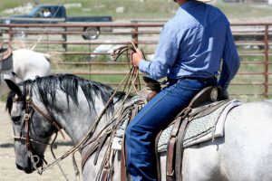 Montana Bunkhouses Working Ranches, Livingston, Montana | Farm Stay USA