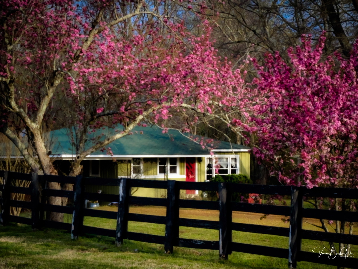 Stillwaters Farm, Henderson TN | Farm Stay USA