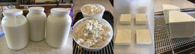 Fat-Sheep-Farm | Farm Stay USA