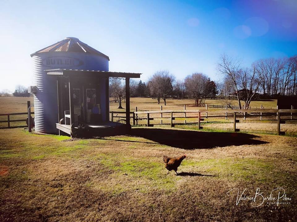 Stillwaters Farm Silo Shop | Farm Stay USA