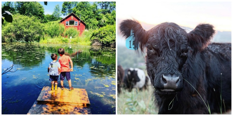 reek Farmstead, Walton, New York | Farm Stay USA