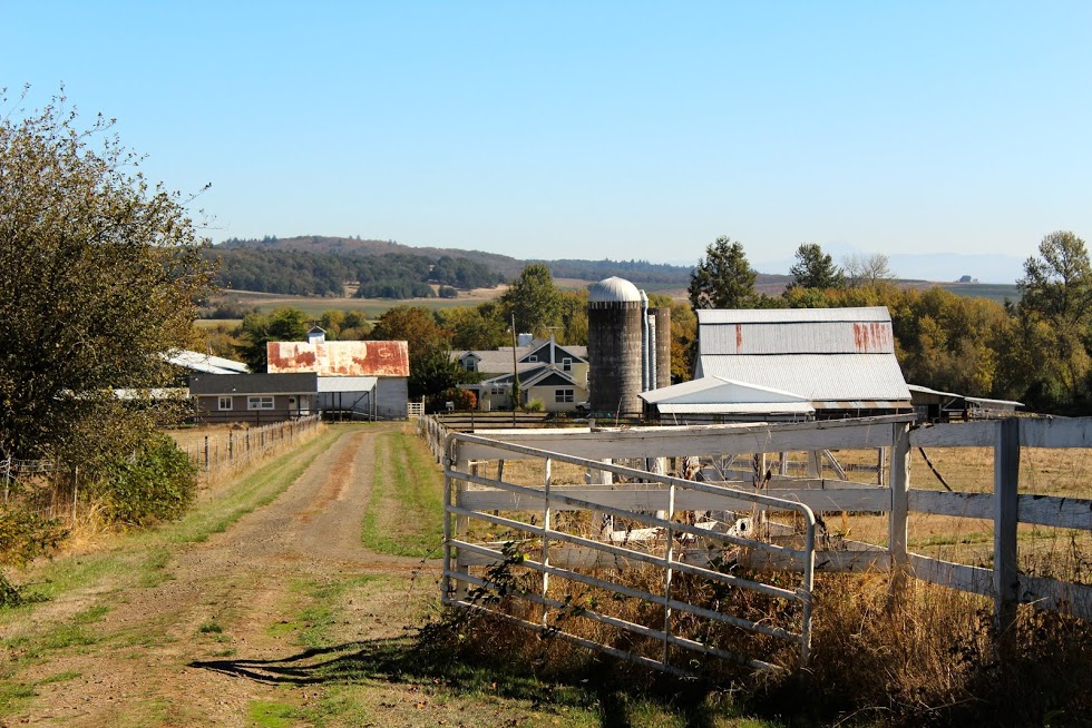 Airlie Farm Bed & Breakfast, Monmouth, Oregon | Farm Stay USA