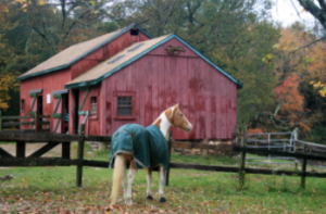 a horse with a jacket on in front of a red barn