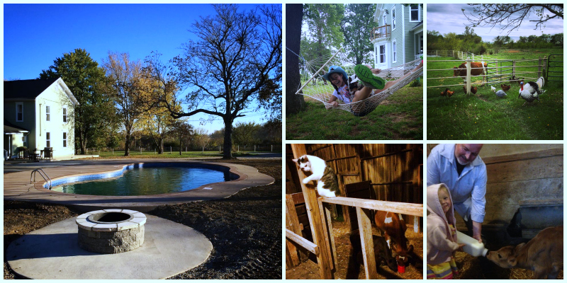 Netherfield Natural Farm, Fontana, Kansas | Farm Stay USA