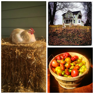 Netherfield Natural Farm, Fontana, Kansas | Farm Stay USA