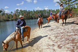 Horseback riding Splendor Farms