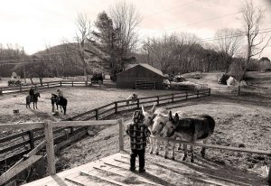 East Hill Farm, Troy, New Hampshire | Farm Stay USA