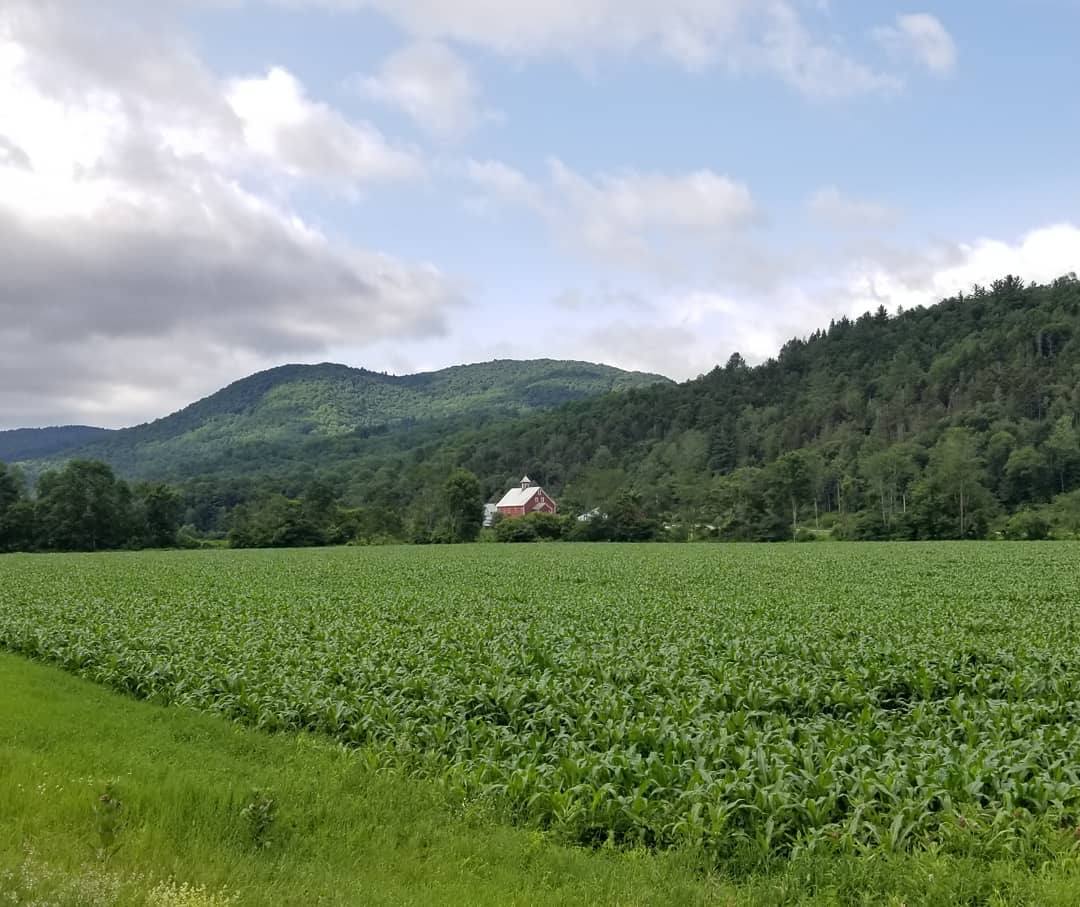 Liberty Hill Farm, Rochester, Vermont | Farm Stay USA