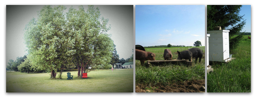 Kinnikinnick Farm, Caledonia, Illinois | Farm Stay USA