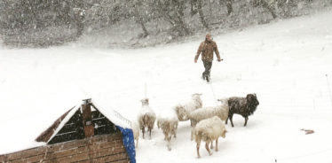 Snow Day | Farm Stay USA