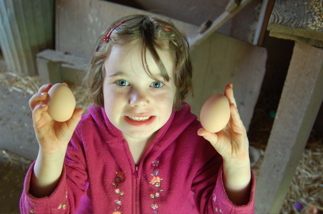 Leaping Lamb Farm, Alsea, Oregon | Farm Stay USA