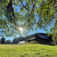 the barn