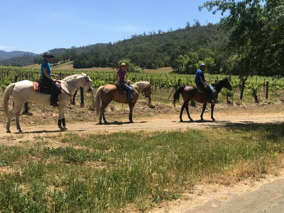 Rustridge Ranch and Winery St Helena CA | Farm Stay USA