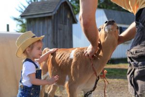 Hull-O Farms, Durham, New York | Farm Stay USA