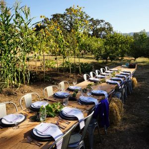 Beltane Ranch, Glen Ellen, California | Farm Stay USA