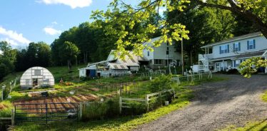 Berry Fields Farm, New Albany, Pennsylvania | Farm Stay USA