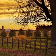 Crow Vineyard and Winery in Autumn