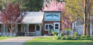 Earthrise Farm, Madison, Minnesota | Farm Stay USA