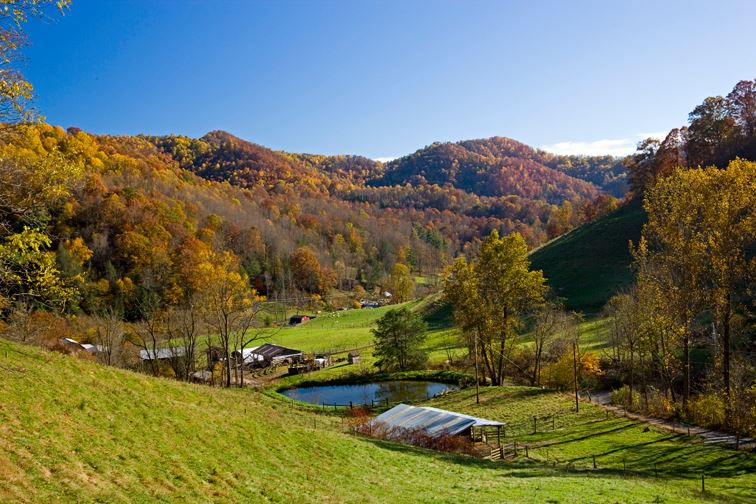 East Fork Farm & Cottages, Marshall, North Carolina | Farm Stay USA