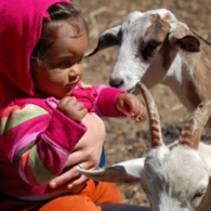Mother and child with goats