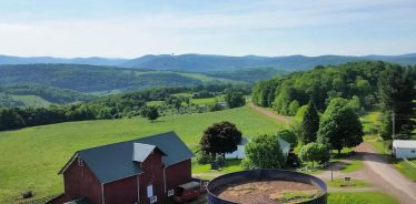 Mountain View Dairy, Bloomville, New York | Farm Stay USA