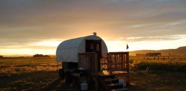 Serenity Sheep Farmstay, Belgrade, Montana | Farm Stay USA