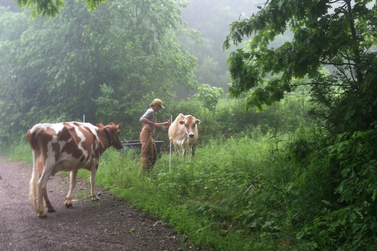 Toddy Pond Farm Monroe ME | Farm Stay USA