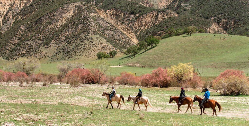 people trail riding on horses in a valley