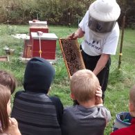 Dave the beekeeper is happy to show you his hives.