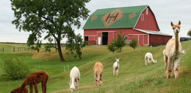 Heritage Farm, Flora, Indiana | Farm Stay USA