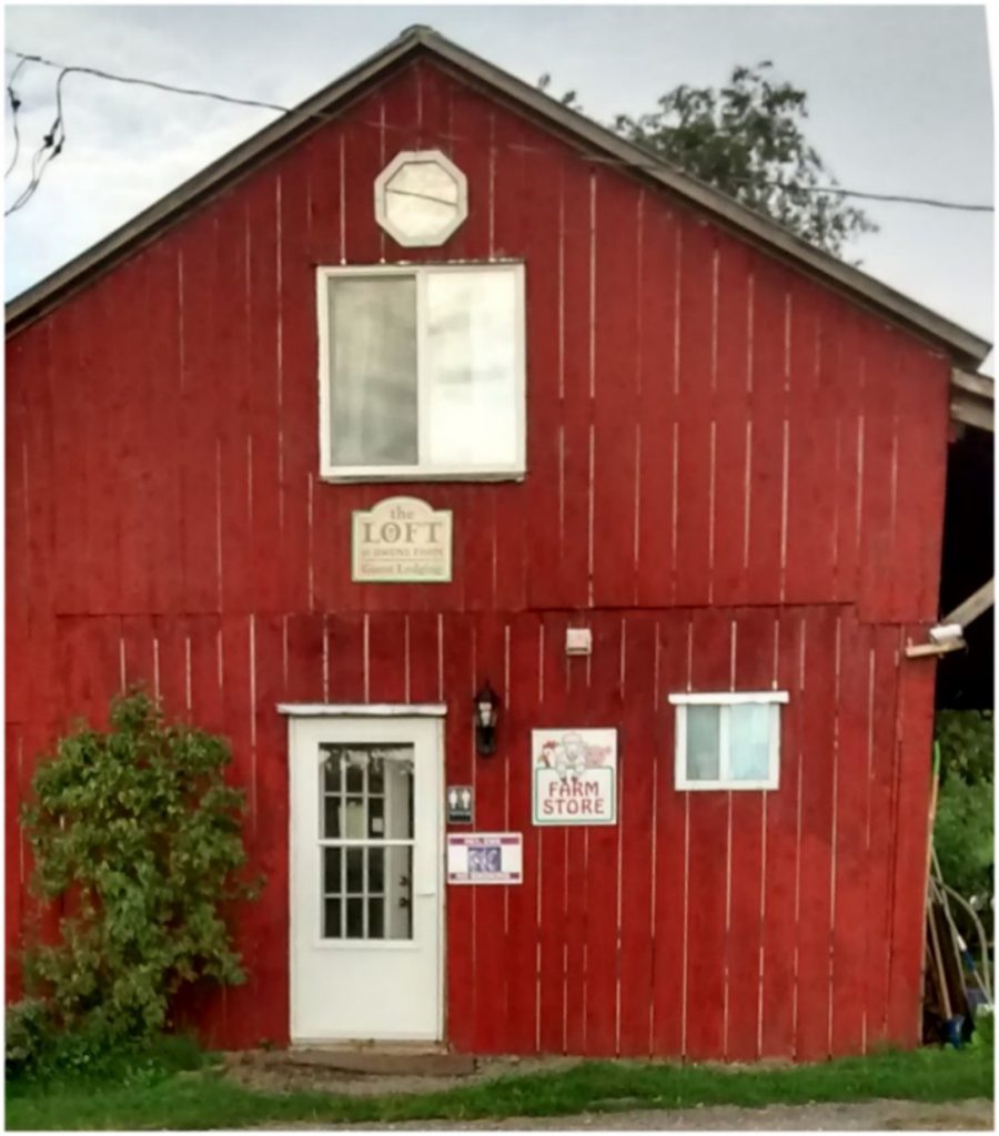 Owens Farm, Sunbury, Pennsylvania | Farm Stay USA