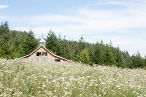 Jean Marie's Garden White Salmon WA | Farm Stay USA