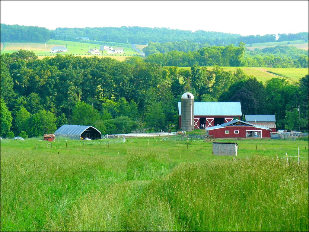 Owens Farm, Sunbury, Pennsylvania | Farm Stay USA